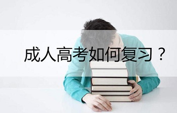 2020年福建成考專升本政治答題解題模板